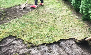 Снятие дерна старого газона в Ростове-на-Дону – от 526 руб. | Жилстройинвест